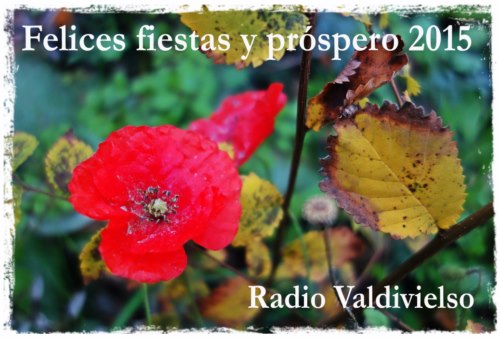 Radio Valdivielso